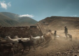 Joana Subirats Ivern