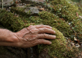 Joana Subirats Ivern